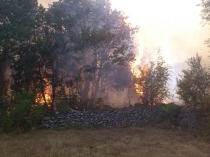 Os incêndios na colina das aparições que ameaçavam aldeia dos videntes 'mudou de direção, em vez de causar uma devastação maior do outro lado da colina.