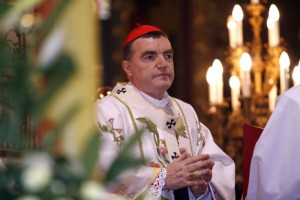 Cardeal Josip Bozanic de Zagreb - atende a sessão final da Comissão do Vaticano sobre Medjugorje em dezembro 14-17, um jornal croata escreve